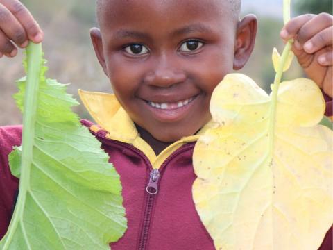 Annual Cover Image, Eswatini